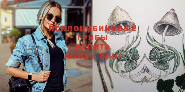 дживик Ачинск