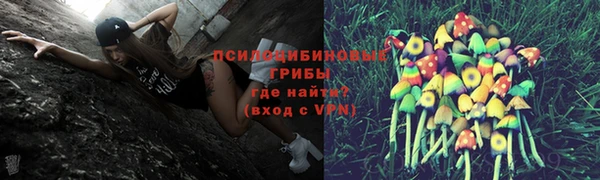 ешки Магадан
