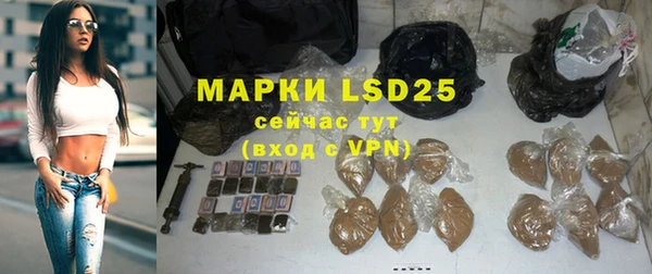 apvp Магас