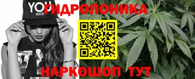 гашиш Камышлов