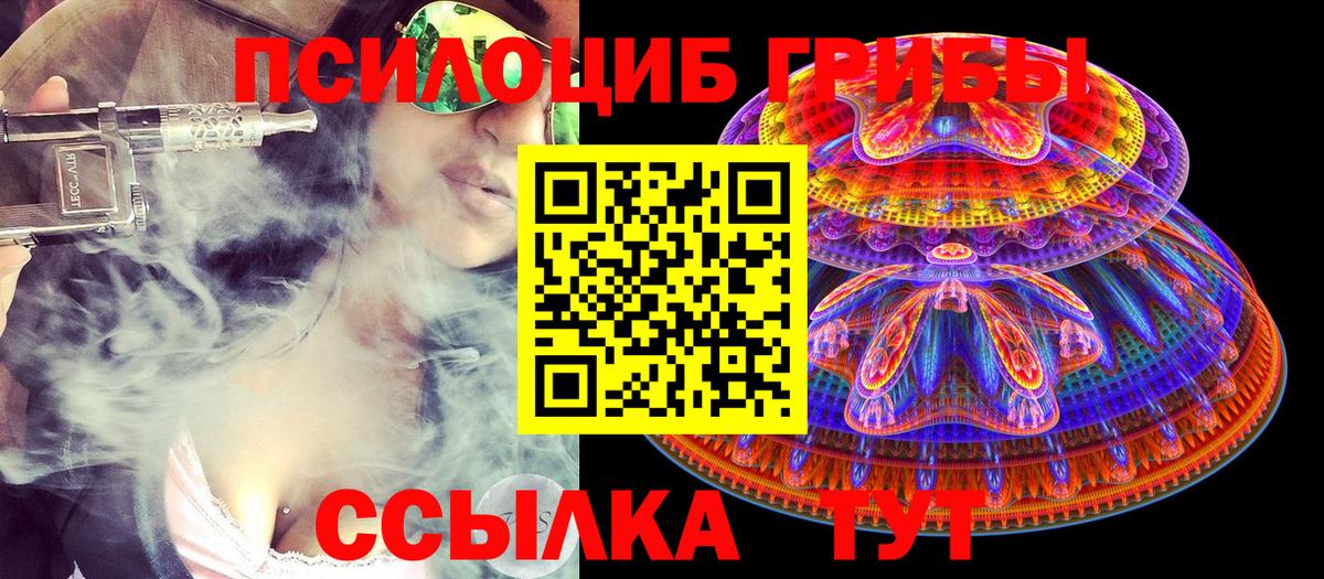 Псилоцибиновые грибы мицелий Павловский Посад